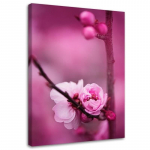 L&otilde;uenditr&uuml;kk Pink Apple Blossom 40x60 roosa