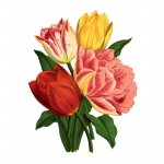 T308# uhke kimpude seinakleebis Vannitoa tualettruumi sisustus Elutoa kapi k&uuml;lmkapp Kodukaunistuse kleebised A-23x30cm-PET