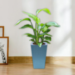 Isekastmislill 10,7 tolli k&otilde;rgune ja kerge multifunktsionaalne orhideetarvikute jaoks White