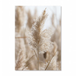 Coconut Lake'i l&otilde;uend Plakatid maastik Kunst Maali Maakohad Beež Sein Kunstitr&uuml;kised P&otilde;hjamaade pildid Elutoa sisustus 21x30cm No Framed