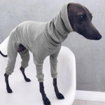Talvine kutsika kampsun, soe mantel, pealisr&otilde;ivas jakk greyhoundile, whippetile, lemmikloomale, kootud pullover-kampsun 3XL