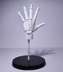 1:1:1 Suur Mudel Tablett V&auml;ga Liigendatud K&auml;si Figuriin - Bionilised S&otilde;rmeliigutused Mannekeeni K&auml;si Kunstiline Skulptuur Mudel Pakett