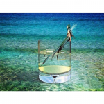 Rhinestones tikandid 5d Teemantmaal T&auml;ispuurimine Rhinestones Haldjas Kokteili Seinakaunistus 20X30CM