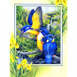5D DIY Teemantmaalimine Igasugused linnud Tikand Ristpistes Rhinestone Mosaiic Kodukaunistus 20X30CM