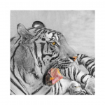 DIY 5D Teemantmaali Loomade Rhinestone Pilt T&auml;ielik Teemanttikandid Mosaiik Kingitus Valge tiigri ristpiste komplekt Kodukaunistus Full Round 20x20CM