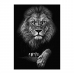Mustvalged loomad Kunst L&otilde;vi l&otilde;uend Maalimine Moodsad plakatid ja tr&uuml;kised Seinapildid elutoa jaoks Kodu Cuadros Decor 30x40cm