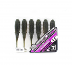 Jackall Soft Lure Ammonite Shad 4,5 tolli Vibe Tail Watermelon P (2909)