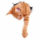 Oranž Tabby Cat kleebis auto isekleepuval kleebisel veekindlal kaunistusauto kleebistel A-15cm-Longest Side