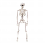 Halloweeni skeleti komplekt liigutatavate liigestega kogu keha skelett Halloweeni peo aia kaunistamiseks