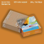 SEVENTEEN - [SPILL THE FEELS] 12. minialbum STANDARD Feel you