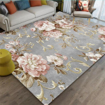 WTEMPO Nordic Carpet Elutoa vaip Kodu Diivan Voodivaip Suure ala p&otilde;randamatt 120*160cm
