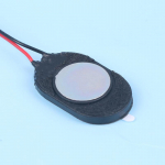 2tk 24*15Mm mikroplastikust sisemine magnetk&otilde;lar 1W 8oomi minisarv