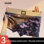 Modal Men's Antibacterial Butterfly Print Boxer Briefs 2XL
