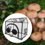 Mini kasvuhoone Aiapeenrad Mitmek&uuml;lgne 60x40x50cm Seene kasvatuskott Kasvupott &Otilde;ueala jaoks