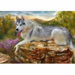 5D teemantmaaling husky koerte &uuml;mmargune teemanttikandid lemmikloomapilt mosaiikpasta seinakunst 20X30CM
