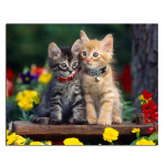 Kaisutavad kassid Teemanttikandid 5D Teemantmaaling Kassipojad Ristpistes Mood Teemantpildid kividest 20X30CM