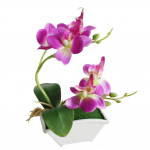 Kunstlik liblikas orhidee lill Phalaenopsis kodukontori sisekujundus lillepotiga roheline