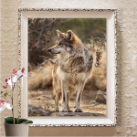 5D Teemantmaal Ristpistes T&auml;isruudukujuline puur Teemanttikandid Pilt Koduseina kaunistus Full Round 20X30CM