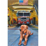 5D DIY Teemantmaali koer Ristpistes Mosaiik Teemanttikandid Roos T&auml;is&uuml;mmargune/ruudukujuline puur Kodukaunistus Round 20x30cm