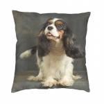 Cavalier King Charlesi spanjel luksuslik padjakate kodu dekoratiivsed koera-loomapadjad diivanile kahepoolse tr&uuml;kiga toolipadi 30x30cm 12x12in