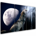 Kolmeosalise pildil&otilde;uendi print Wolf Nature Moon Udu 60x40 sinine