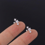 2TK 316L Lihtsad v&auml;rvilised roostevabast terasest k&otilde;rvar&otilde;ngad naistele v&auml;ikesed kuupmeetrist tsirkooniumoksiidist punk hiphop augustamise ehted