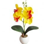 Kvaliteetne liblikorhidee bonsai liblikakujuline vastupidav ja loomulik v&auml;limus valge