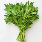 300 Lovage seemet (levisticum officinale) Igavene seller