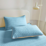 2 osa latekspadjap&uuml;&uuml;rid, pehmed hingavad ja nahas&otilde;bralikud jahutavad padjakatted masinpestavad padjakatted magamistuppa 2 pcs pillowcase