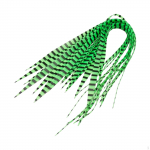 20 Pieces for Luminous Ribbon ing DIY Accessory Freshwater Saltwater Group Grass Carp Trout White Black