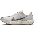 Nike Pegasus Plus Platinum Toon Antratsiit Meeste Tossud Hall College-Hall Must IB5695-001 43