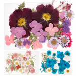 104 tk pressitud kuivatatud lillede komplekt Ehtsad looduslikud pressitud lillelehed DIY mitmeotstarbeline Ehtsad pressitud lilled kuivatatud lehtede komplekt