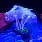 Akvaariumi helendav tehismeduus, silikoonist simuleeritud veetaimed, fluorestseeruvad