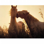 Tikandid Ristpistes Valge Maja pilt Kodukaunistused Kingitus Teemantmaal Tasuta ristpistes 20X30CM