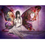 5D Teemantmaal Liblikas Haldjas Ingel DIY Teemanttikandid Rhinestones Kodukaunistus Pulmakingitus 20X30CM