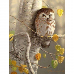 5D teemantmaal, t&auml;is&uuml;mmargune &ouml;&ouml;kulli tikand Teemantmosaiik ristpistes 20X30CM