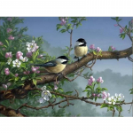 T&auml;isruudu/&uuml;mmargune teemantmaaling Sparrow Rhinestone 5D DIY Teemanttikandid Lind Looma Mosaiik K&auml;sitsi valmistatud kingitus Full Round 20X30CM