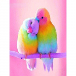 5D isetegemise teemantmaaling loomalindude teemanttikandid kivide pildid linnukunst mosaiik kodukaunistus Full Round 20x30CM