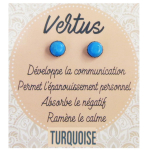 Les Tr&eacute;sors De Lily [R2133] - t&uuml;rkiissinised k&otilde;rvar&otilde;ngad  Mineralia  - 6 mm t&uuml;rkiissinine