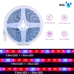 5050 LED punane sinine SMD kasvuvalgustid 12V t&auml;isspektriga valgustid 5M LED f&uuml;tolamp v&auml;listingimustes siseruumides kasvavate taimede kasvatamise lillevalgustid 5M 3R+1B