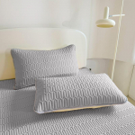 2 osa latekspadjap&uuml;&uuml;rid, pehmed hingavad ja nahas&otilde;bralikud jahutavad padjakatted masinpestavad padjakatted magamistuppa 2 pcs pillowcase