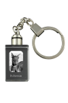 Dobermann, Doberman Pinscher, Dobie - Crystal key ring with dog photo, illuminated key ring, unique gift by Art-Dog brand