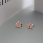 Naiste kroonlehtedega k&otilde;rvar&otilde;ngad lihtsad ins stiilis ni&scaron;idisainiga k&otilde;rvar&otilde;ngad mitmek&uuml;lgsed v&auml;ikesed ja v&auml;rsked k&otilde;rvar&otilde;ngad