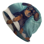 Taks Kootud Nokam&uuml;ts Kootud M&uuml;tsid Unisex Naiste Hip Hop Unisex M&auml;ger Vorst Viineri Koer Soe Talvine Skullies Nokam&uuml;tsid M&uuml;tsid One Size