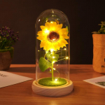 P&auml;evalilled Kunstlilled Plastikkuplis LED-ribaga, S&uuml;nnip&auml;evakingitused Emale ja Vanaemale, P&auml;evalillede Kaunistus Emadep&auml;eval 21x11.5x9cm