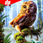 T&auml;isteemanttikandid Loomade &ouml;&ouml;kull 5D teemantmaali ristpistes 25x25