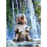 T&auml;ielik 5D Teemantmaaling Elevandi du&scaron;&scaron; Mosaiik Tikand Ristpistes Kodukaunistus K&auml;sitsi valmistatud kingitus 20X25CM