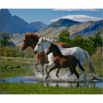 T&auml;ielik 5D-teemantmaal joonisfilm Loomade hobune Mosaiik Tikand Ristpistes Kodukaunistus K&auml;sitsi valmistatud 25x30cm