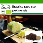 SAFLAX - Mahe - Hiina kapsas - Granaat - 40 seemet - Potisubstraadiga paremaks kasvatamiseks - Brassica rapa