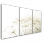 Kolmeosalise pildiga l&otilde;uendiprint Blower Flowers Nature 60x40 valge